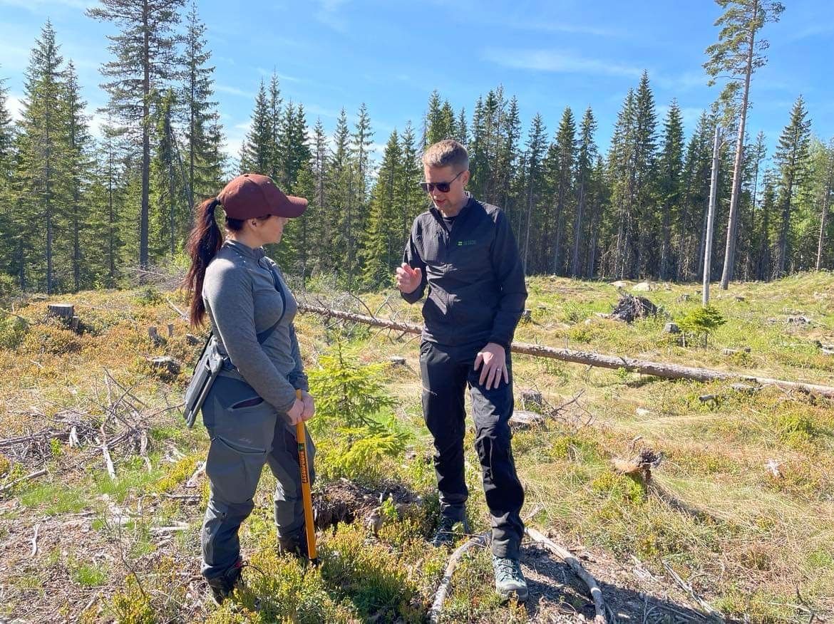 SB Skog er ansvarlig for kontrollørjobben. Feltarbeider Connie Johansen i samtale med daglig Kenneth Langsethagen.