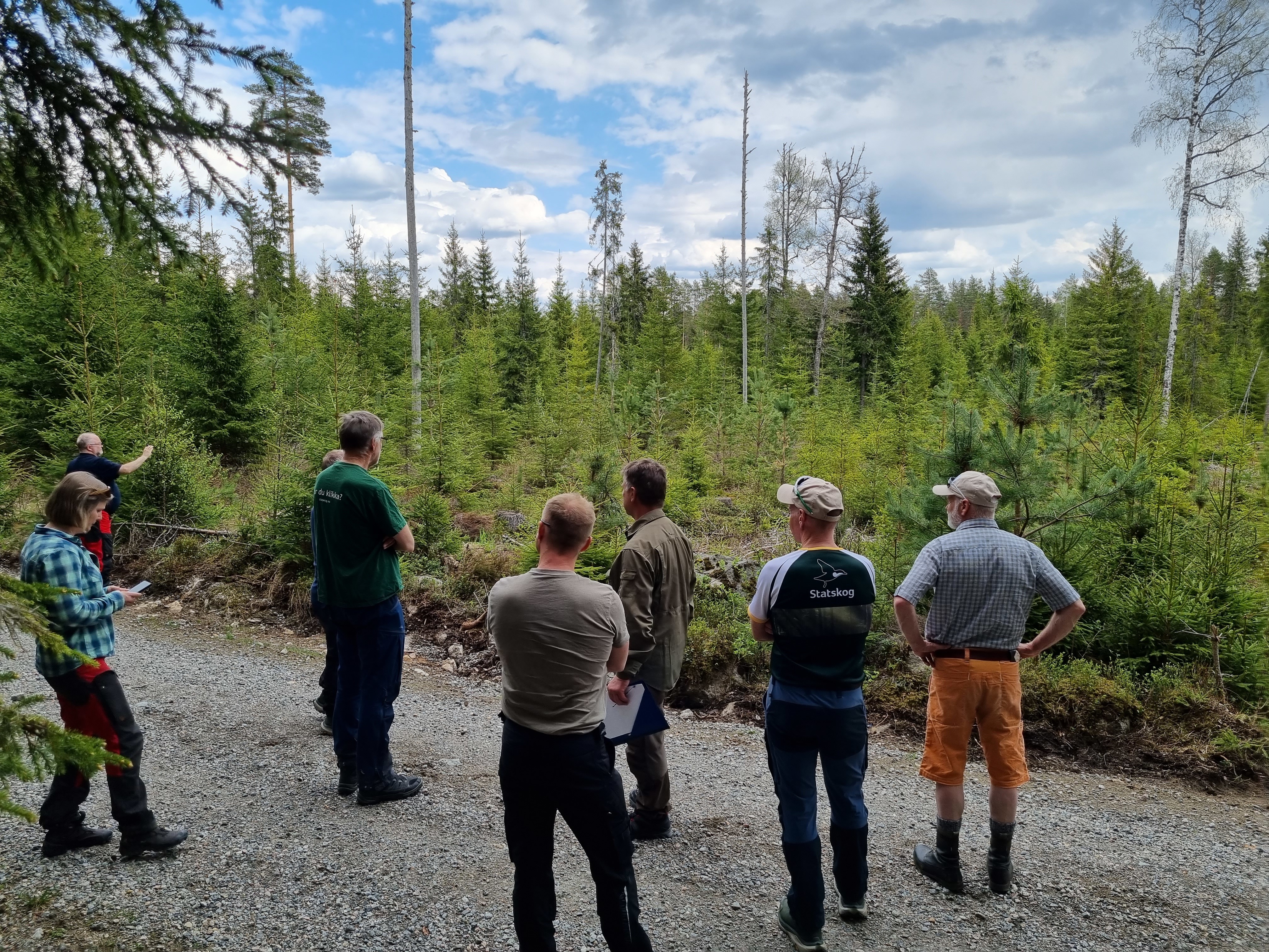 Befaring på lukket hogst Mangen gård