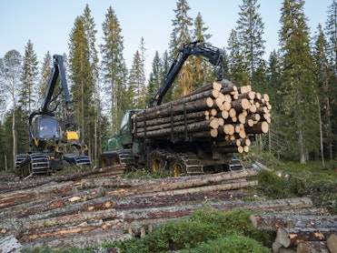 Vil sette ny standard for skogsdrift