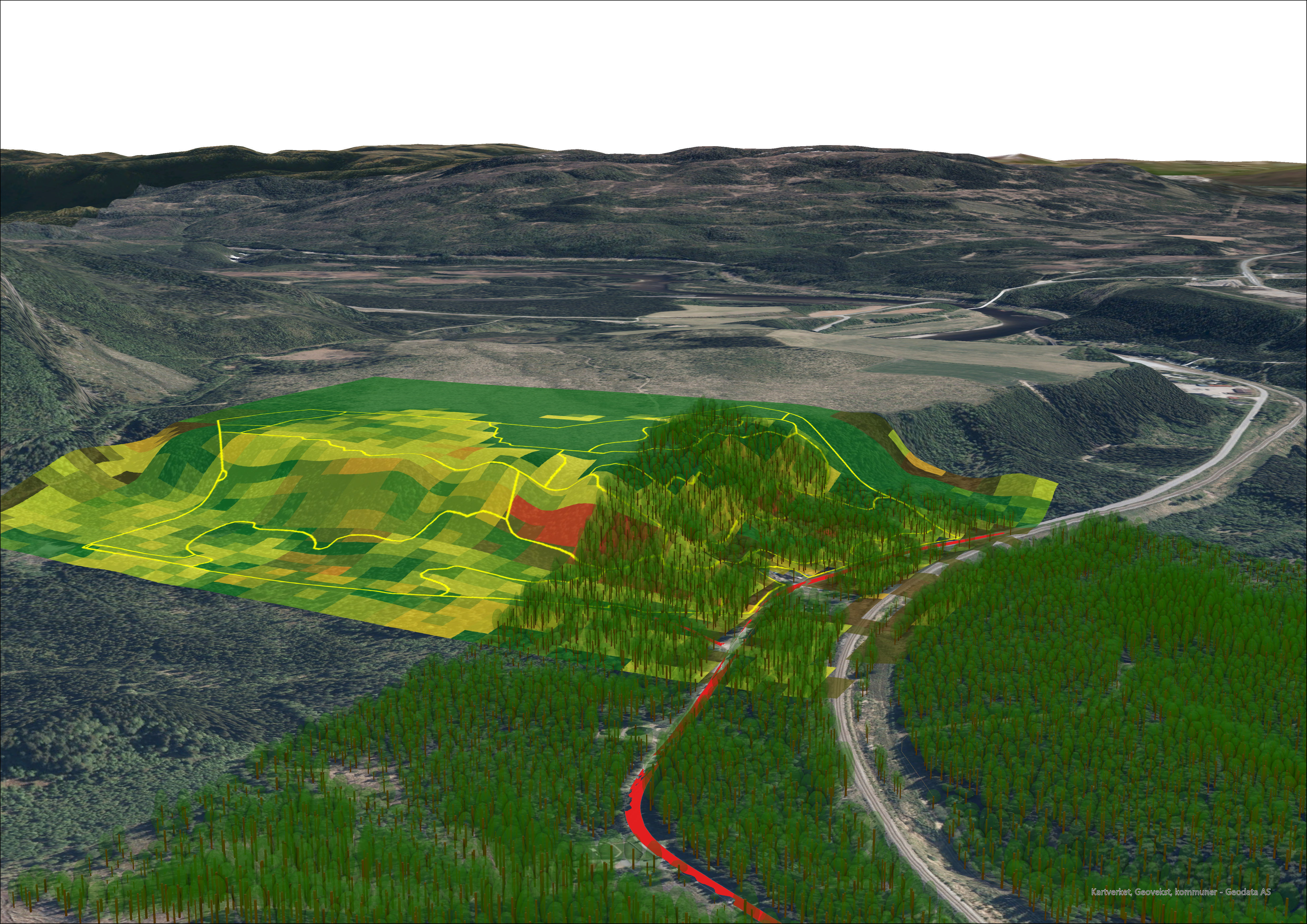Layout beregningsflater GEOSKOG