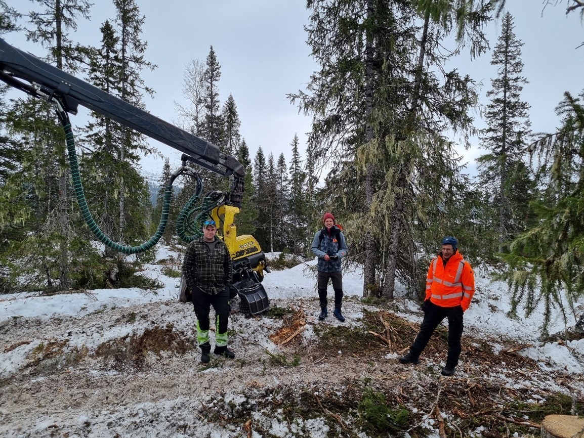 NRK filmer Lukket hogst
