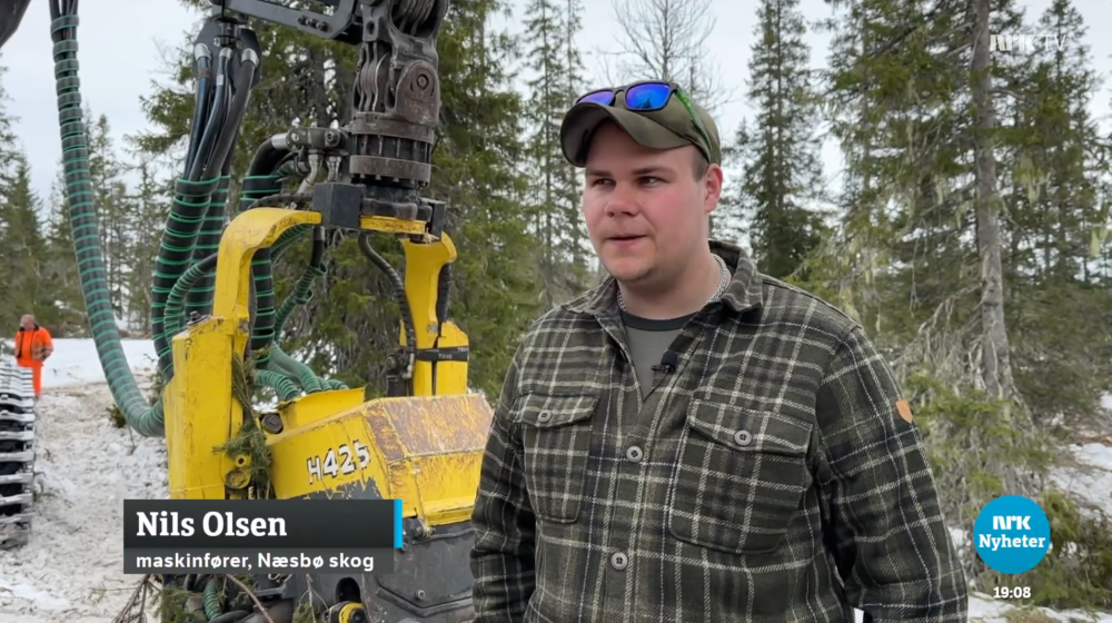 Nils Olsen Næsbø skog NRK