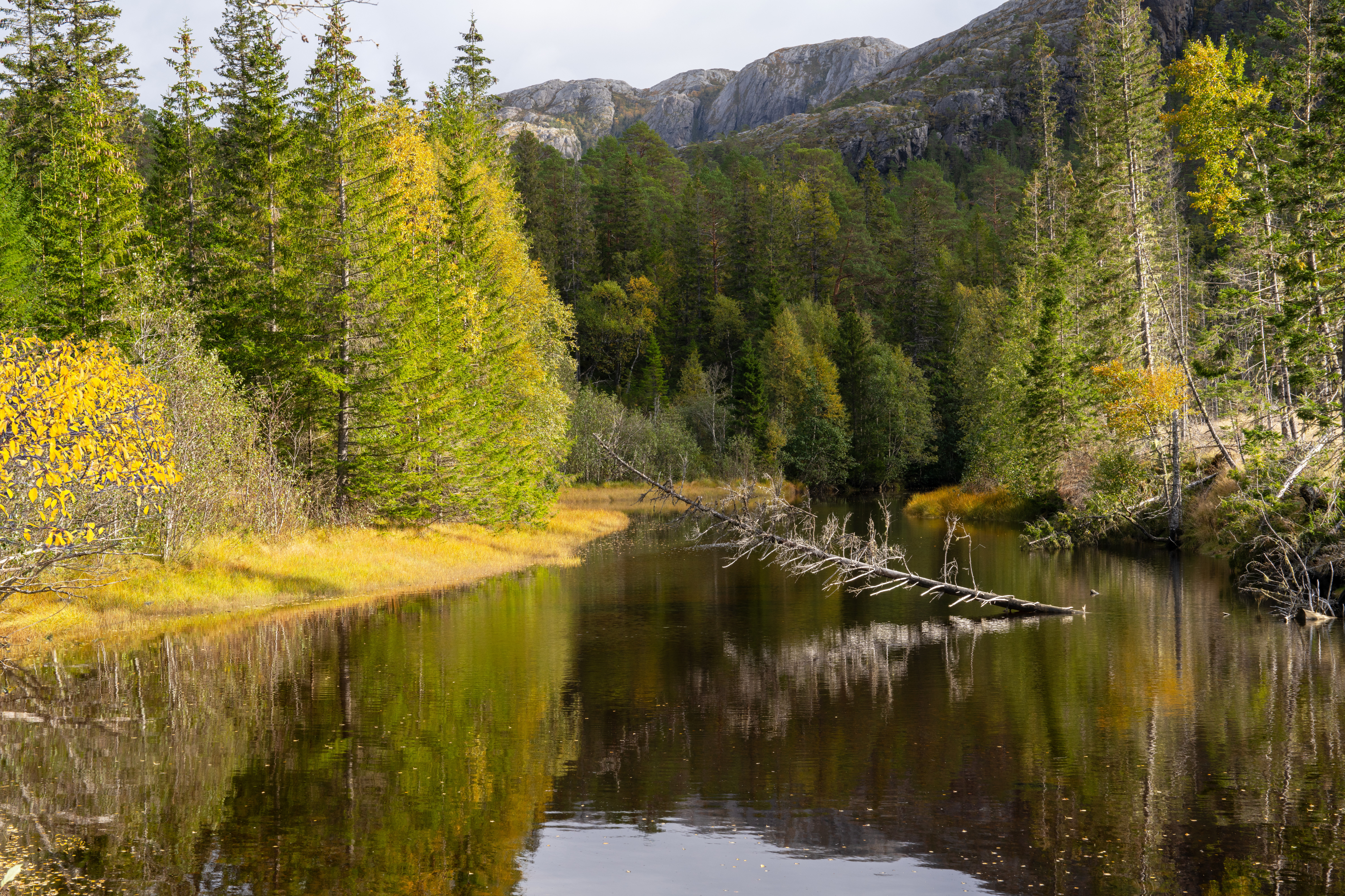 Sæterelva Steinar Johansen