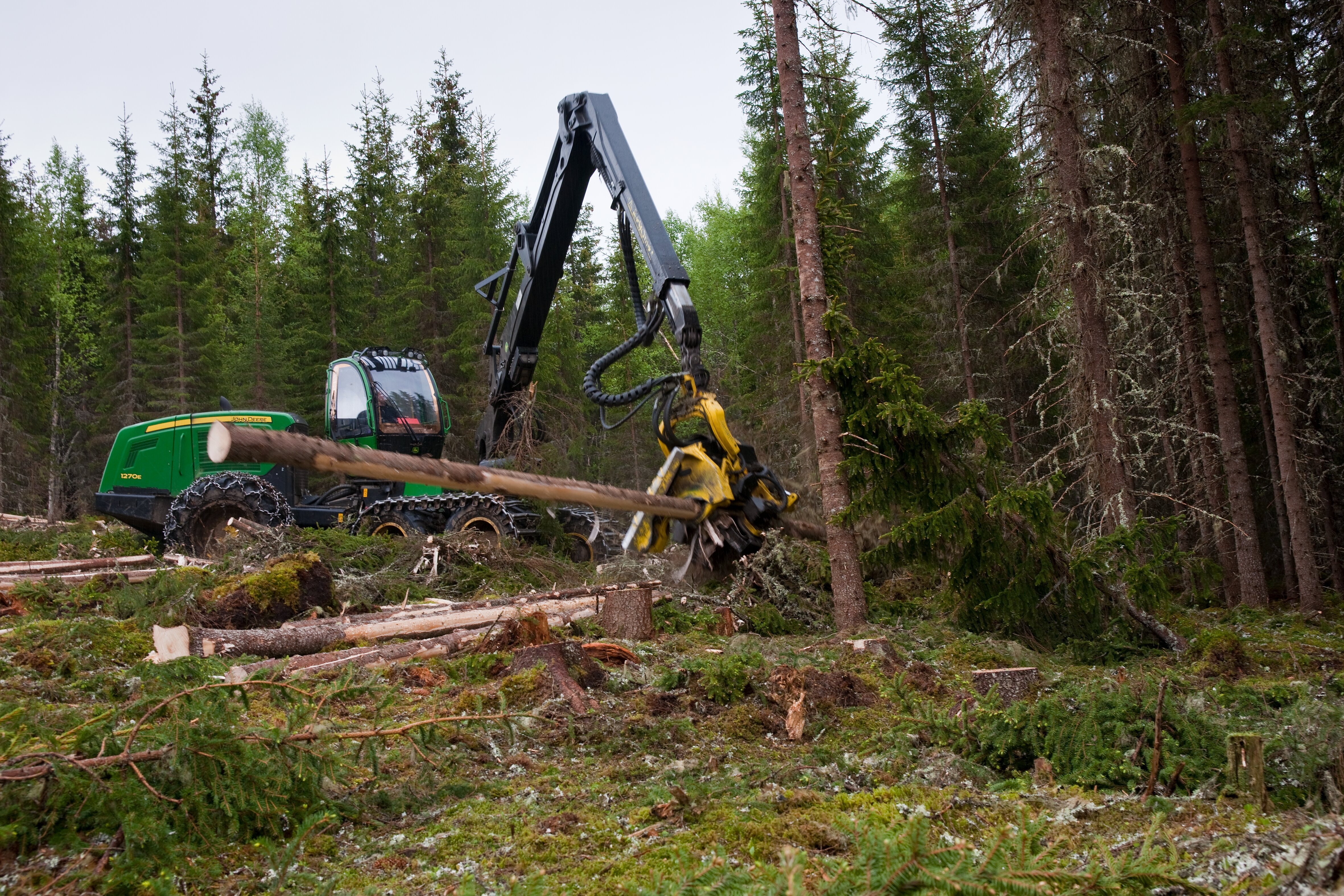 Skogsdrift i Bangdalen