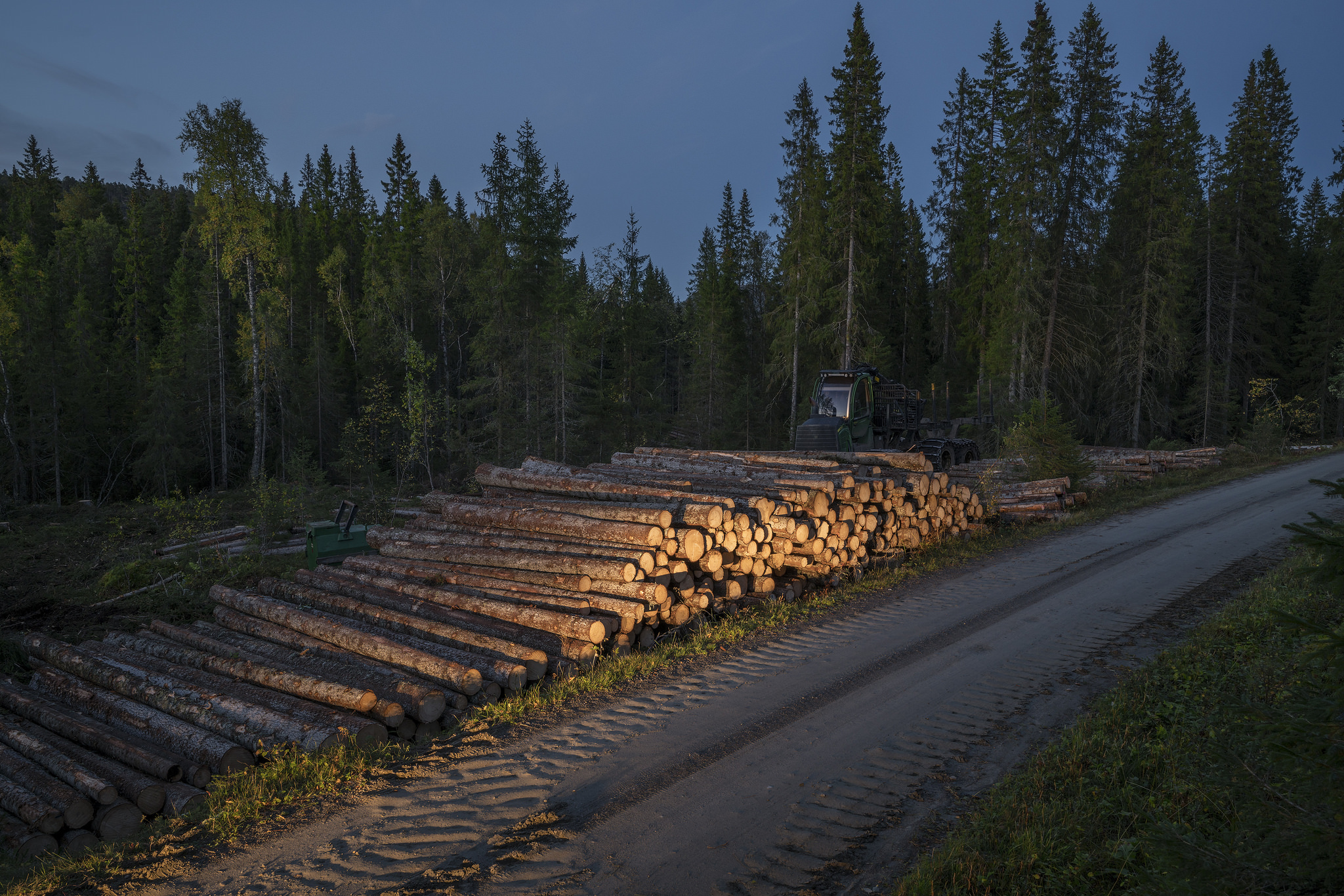 Historisk Enighet: Økte Miljøkrav I Ny Skogstandard | Statskog