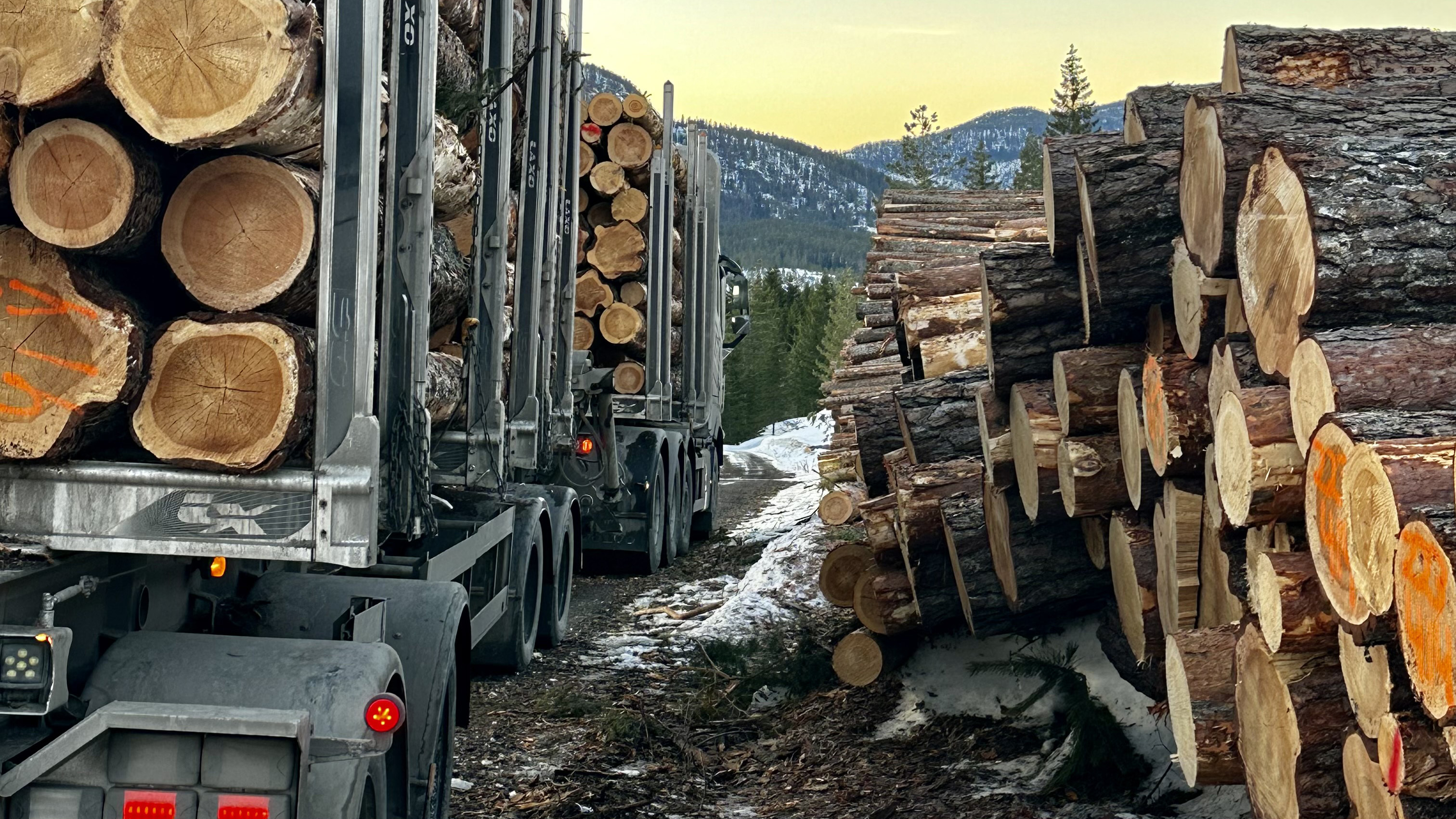 mer-klimavennlig-t-mmer-med-elektrisk-transport-statskog
