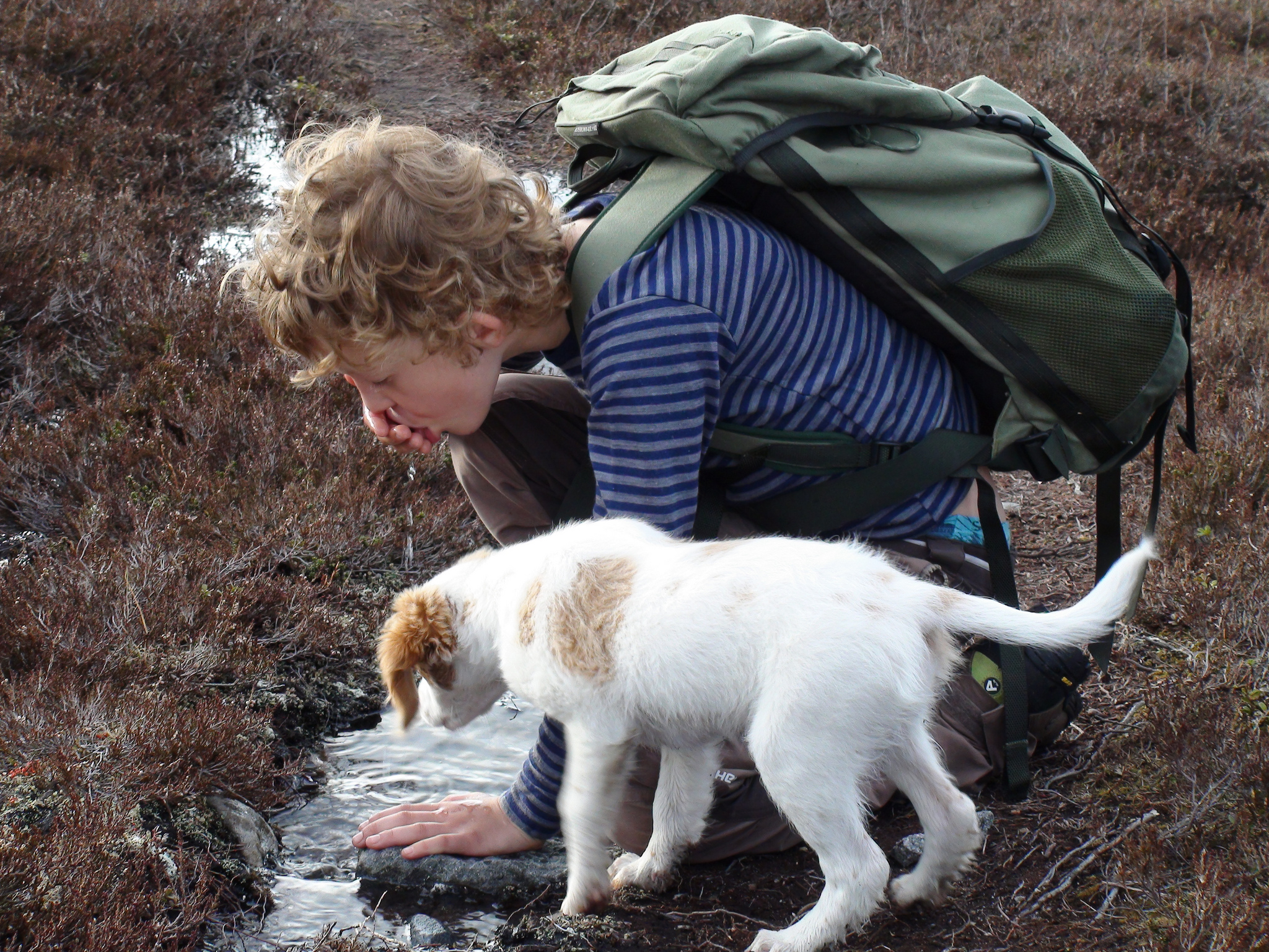 Barn og hund på tur - drikkestopp