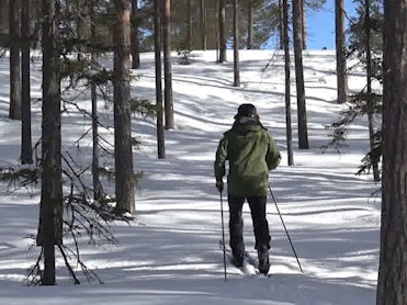 Slik bruker du granbar mot bakglatte ski