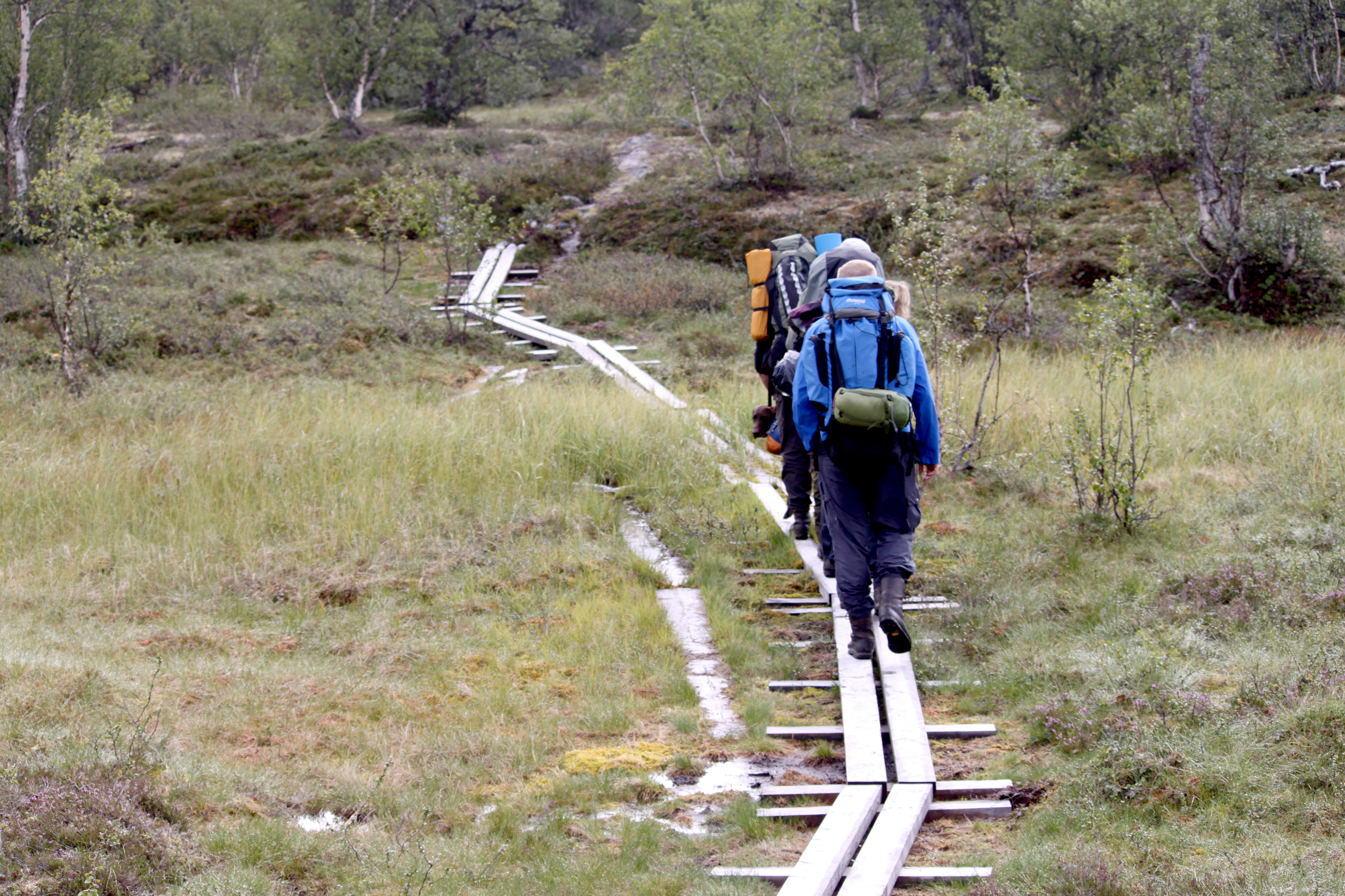 Fottur langs DNT-sti i Femundsmarka - klopping