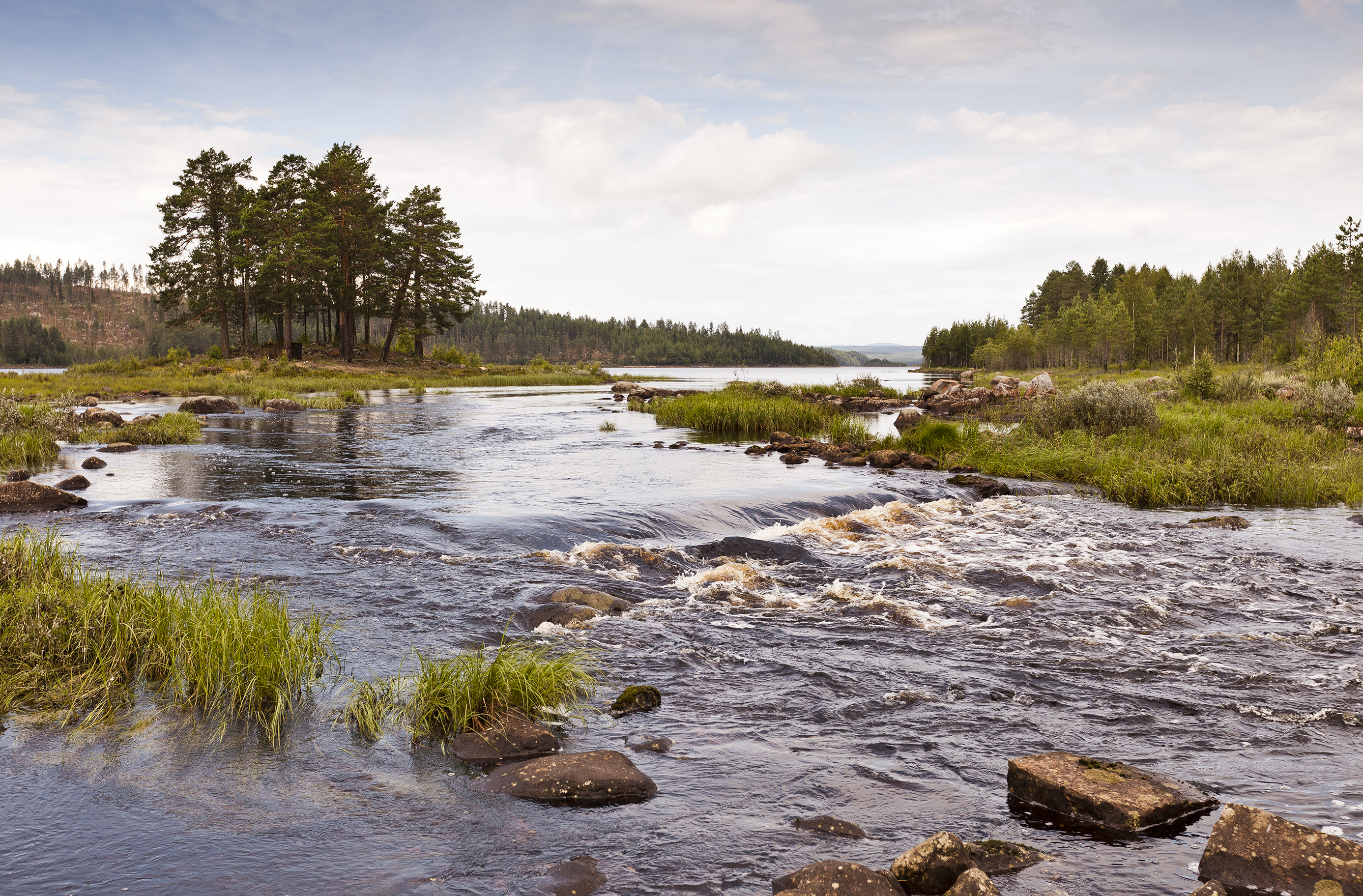 Finnskogen - Haldammen