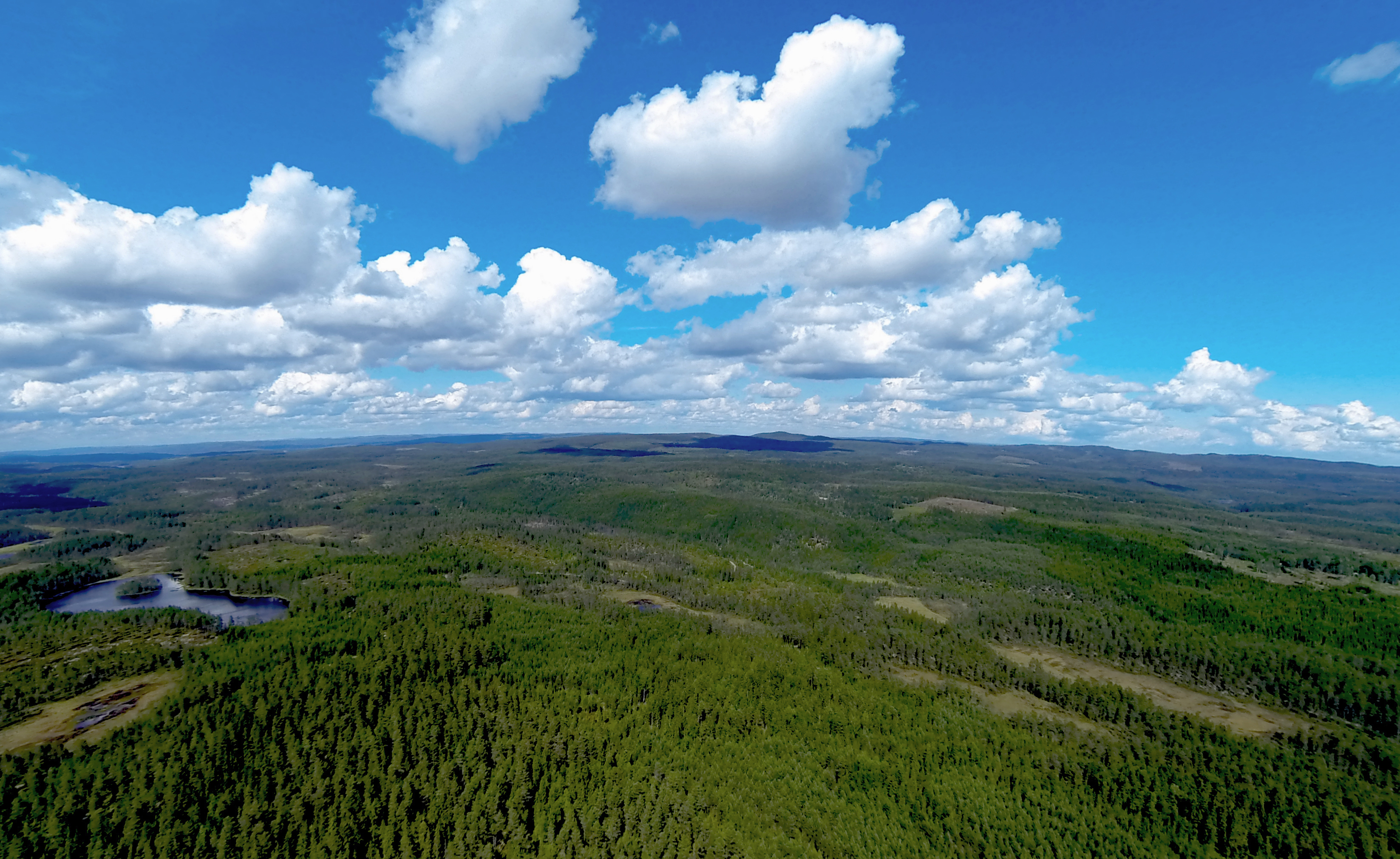 Finnskogen - Varaldskogen - drone