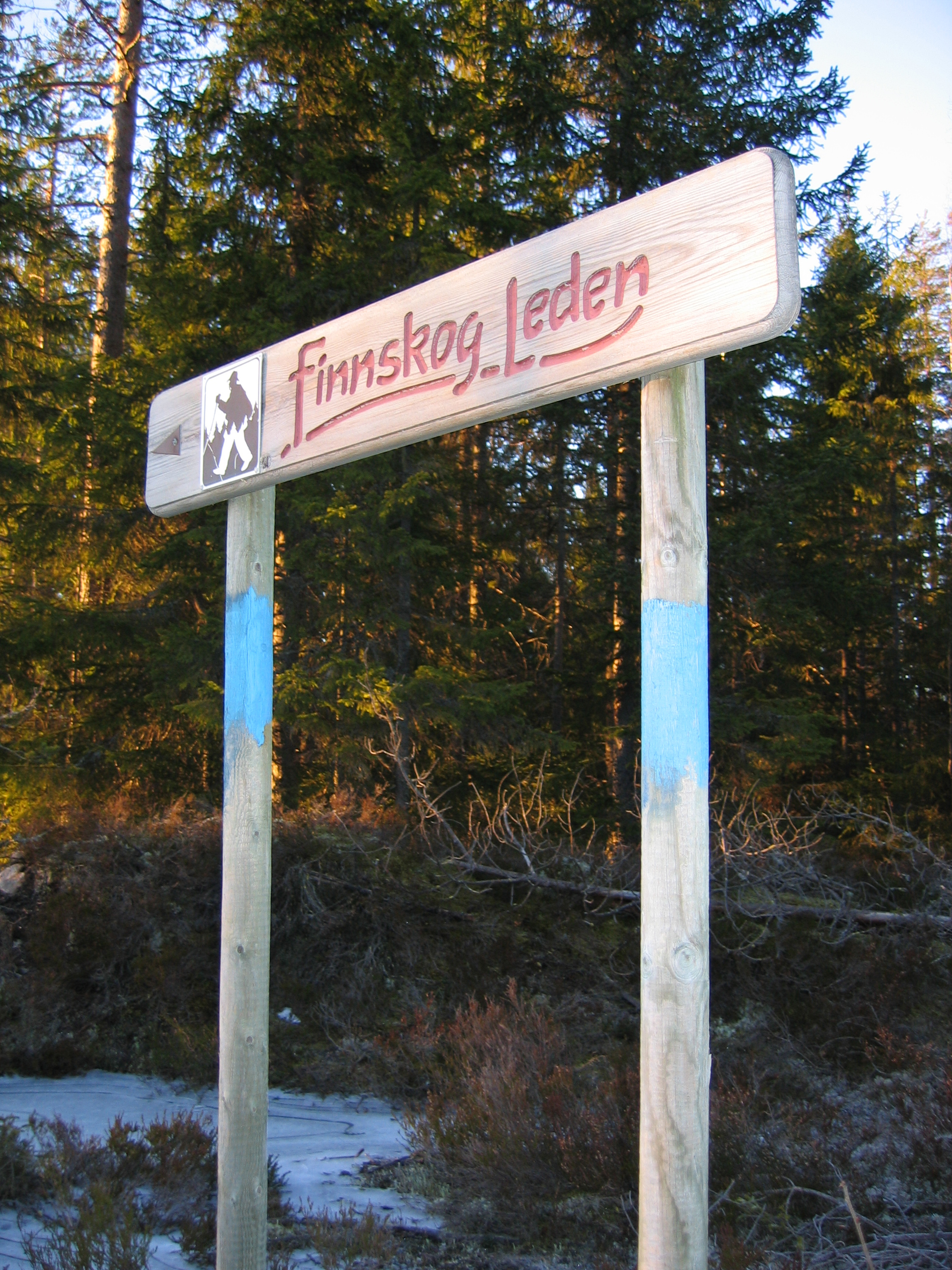 Finnskogleden i Varald statsskog