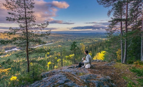 Maliskjæra naturreservat i Gruset statsskog - Finnskogen