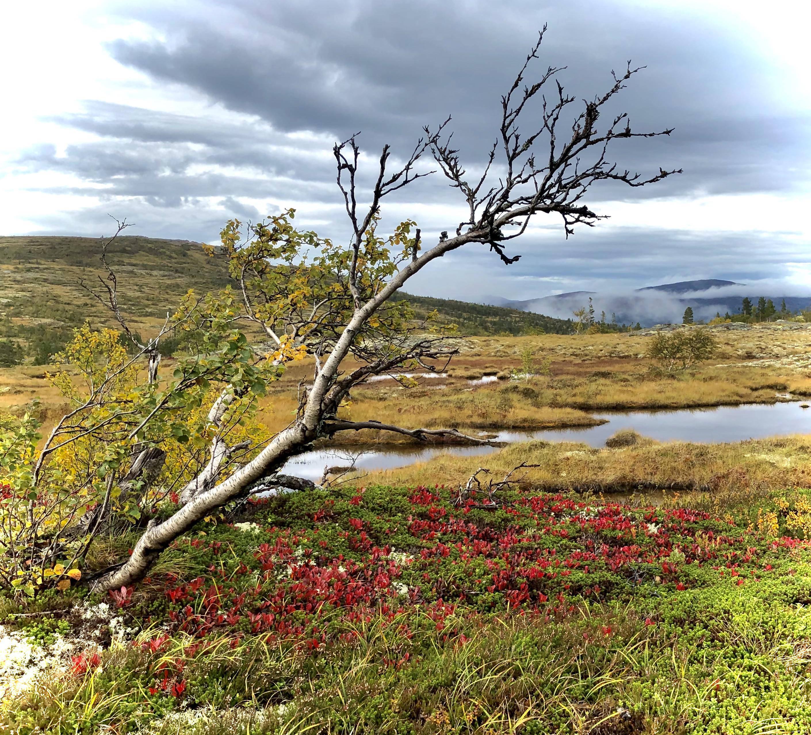 Hukkelvatna Geir Wagnild6