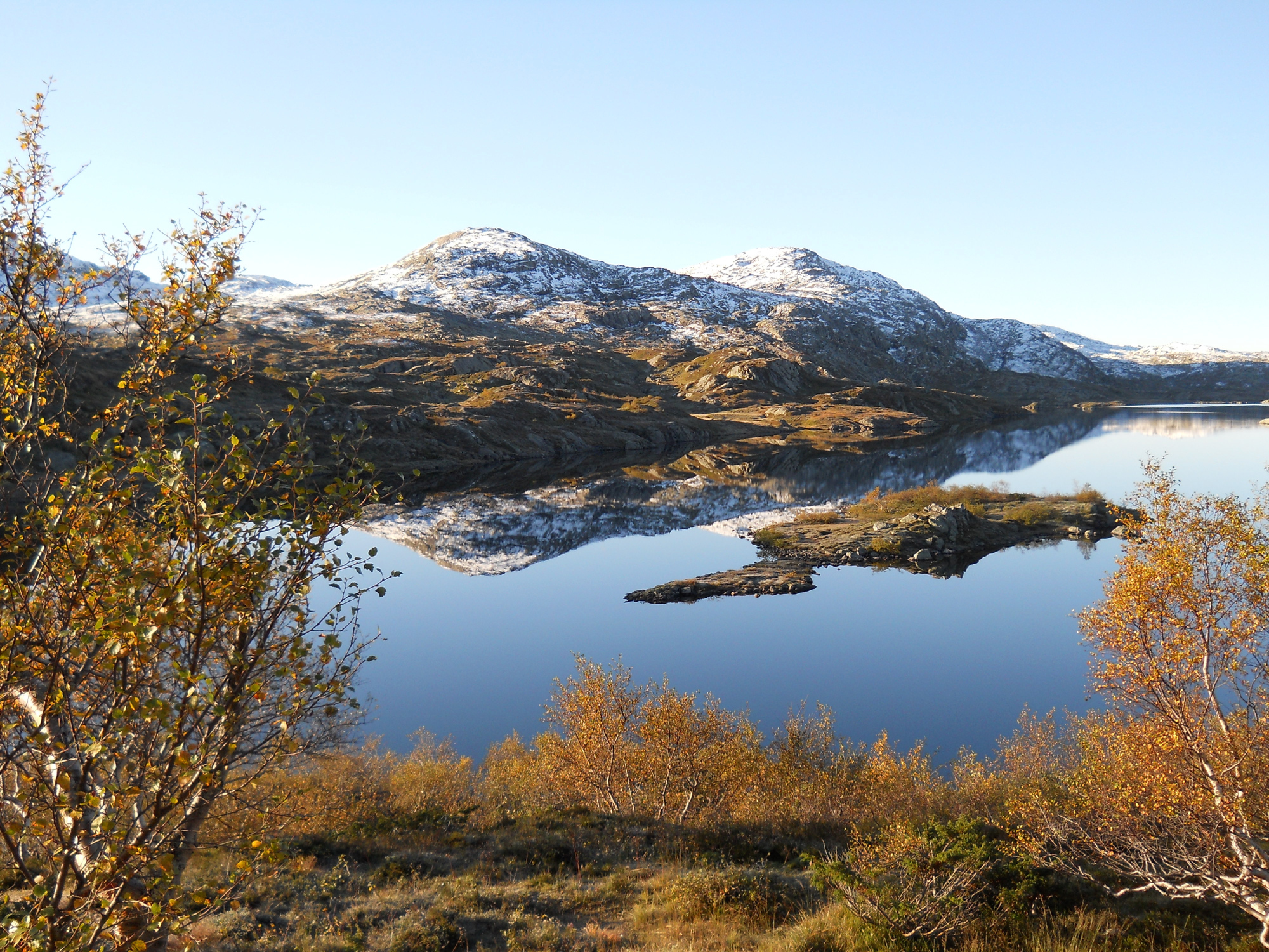 Såvatn i Njardarhiem