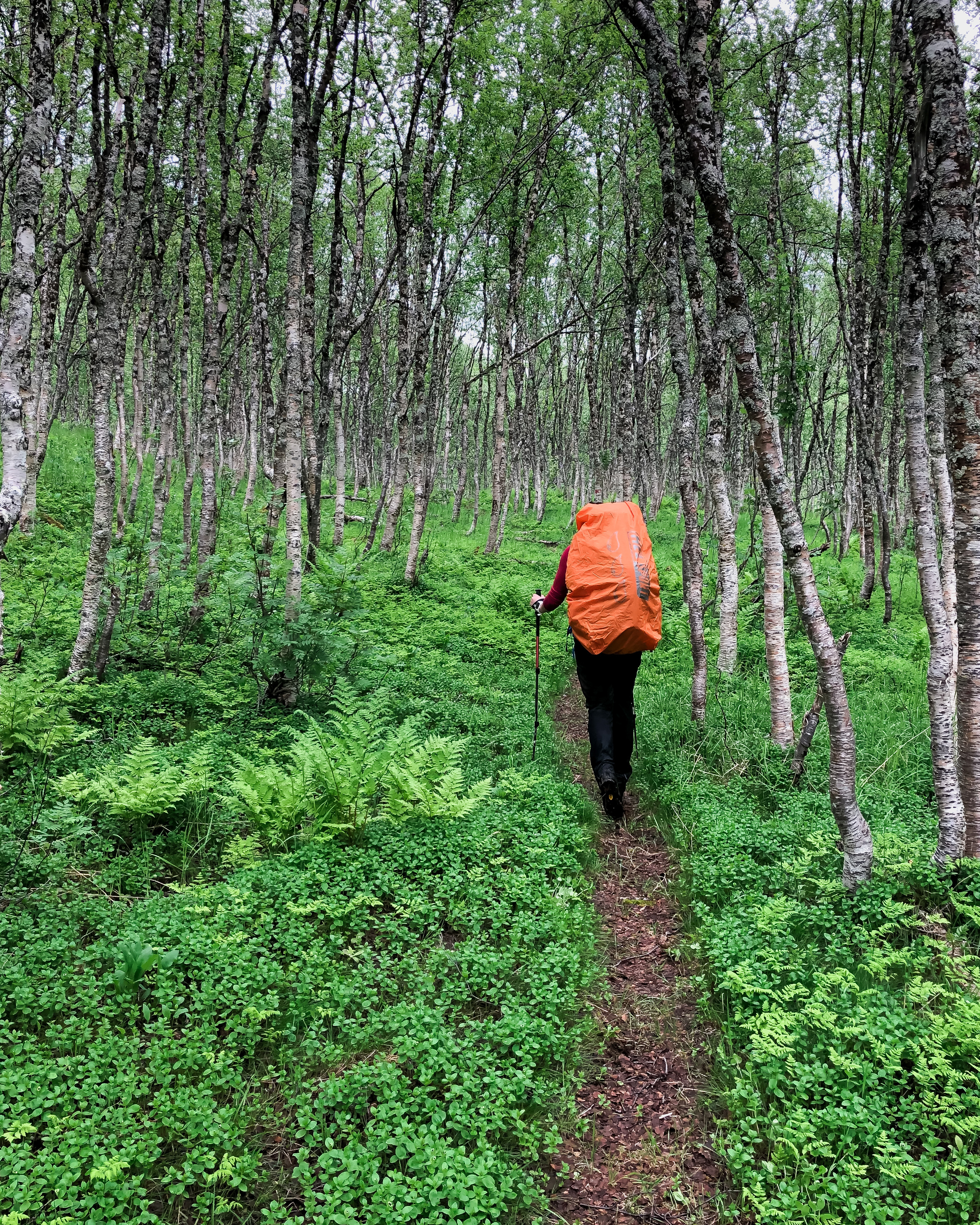 Senja - Ånderdalen - turgåer