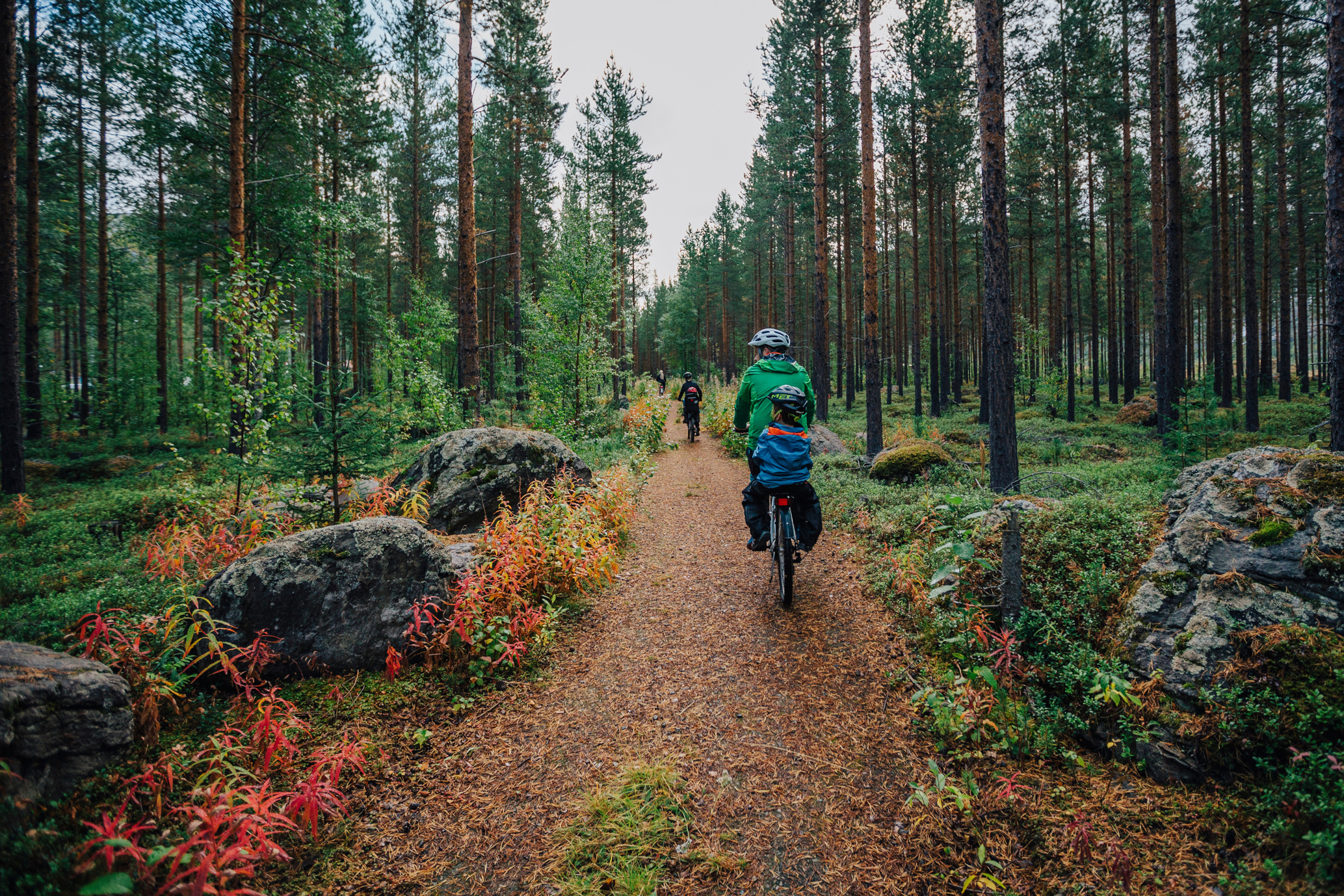 På sykkeltur i Storjord