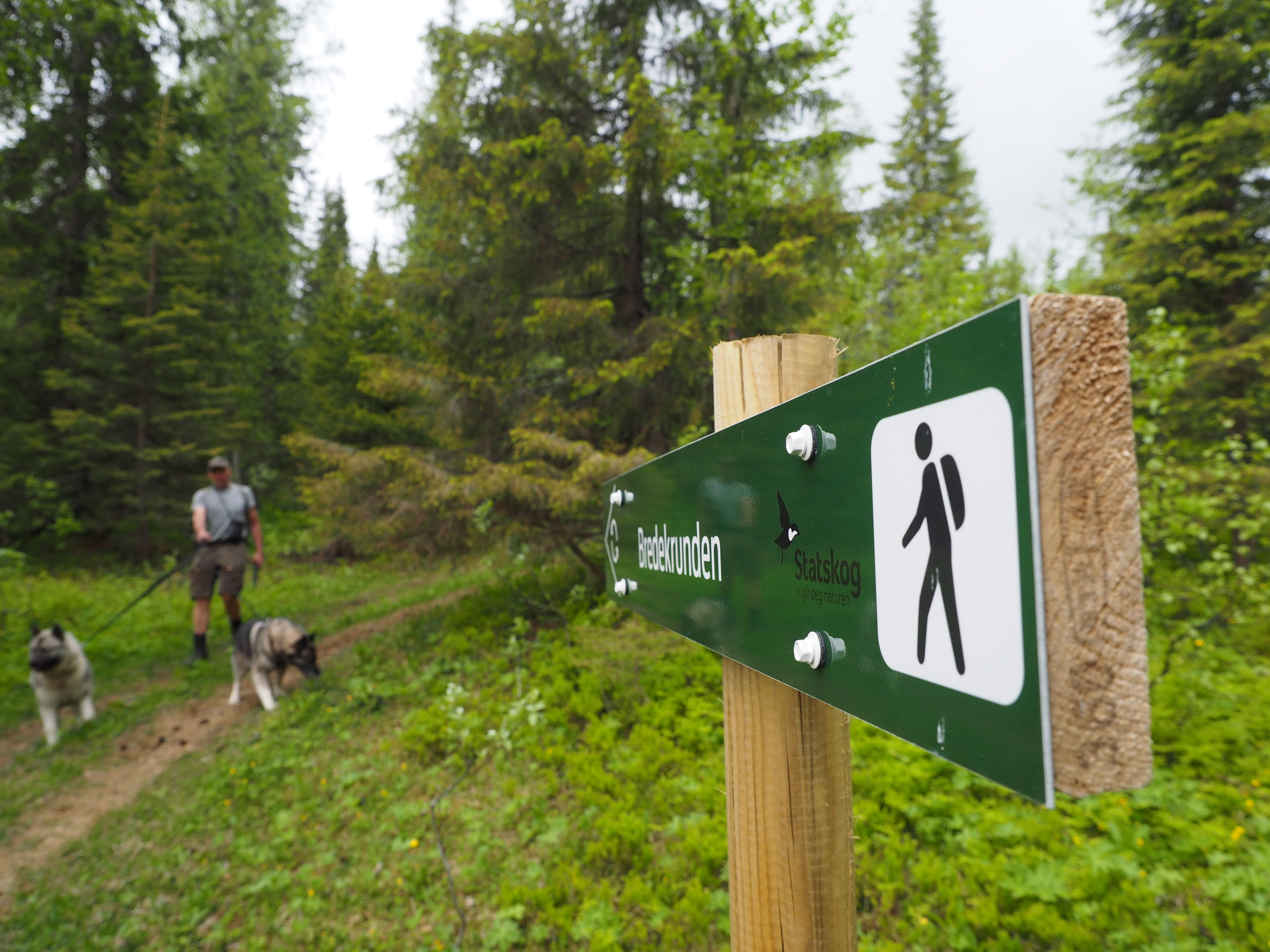 Skilting av Bredek-runden