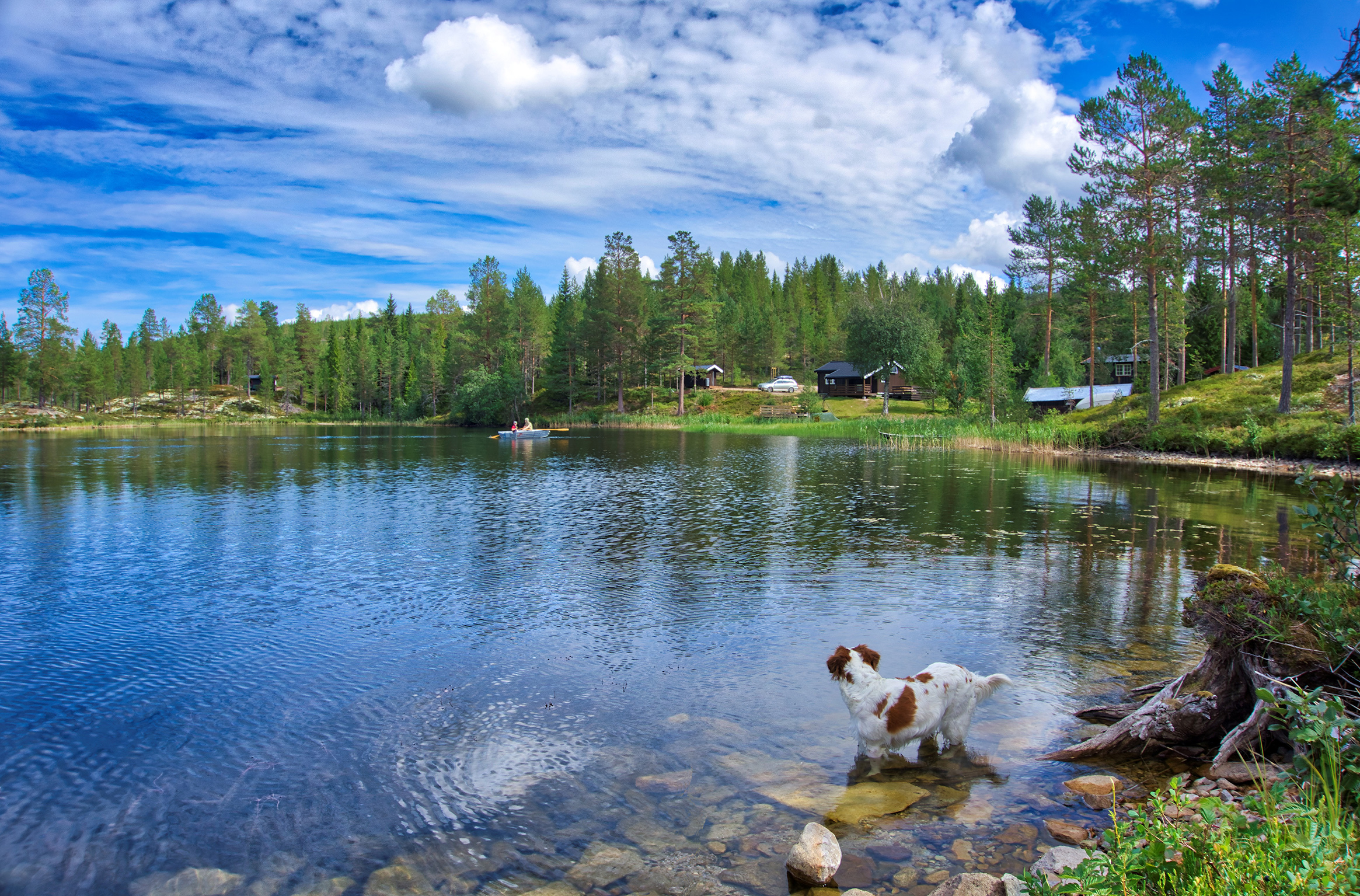 Buvika - utleiehytte i Rendalen