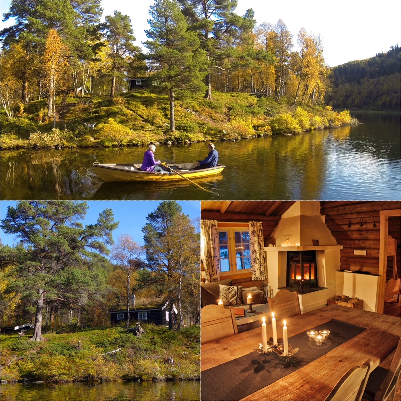 Sjølyst - utleiehytte