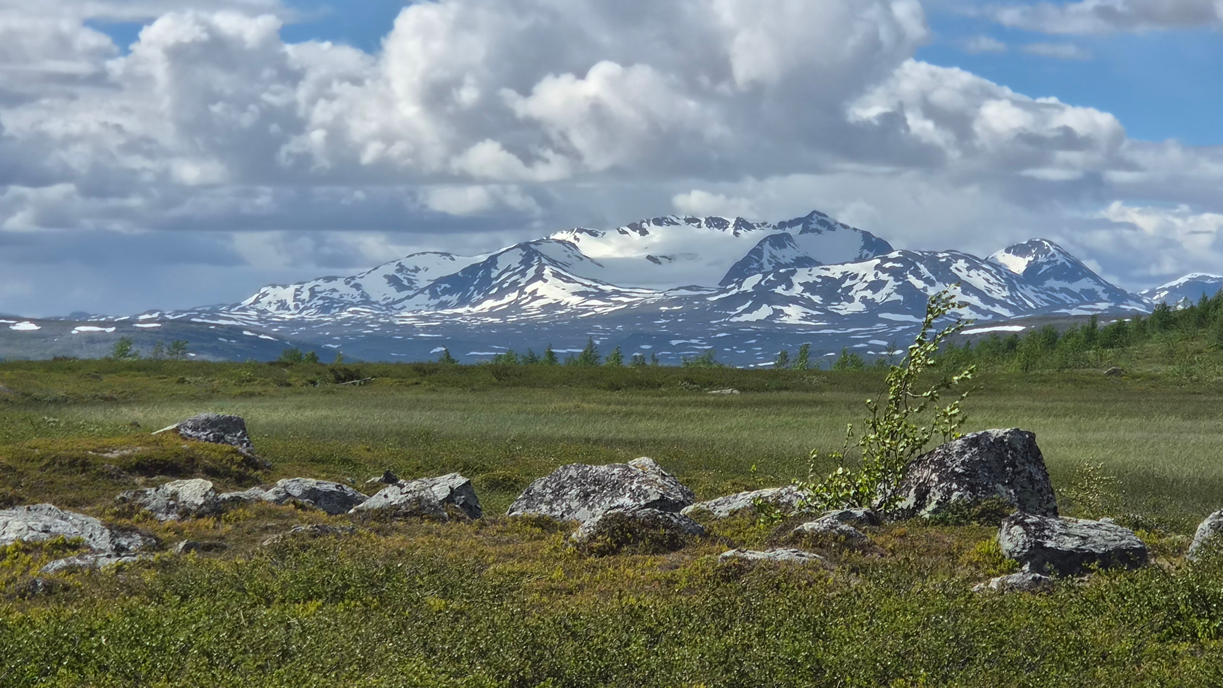 #Vestre Tiplingen
#Børgefjell
#Oppgradert