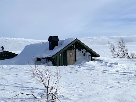 Villsjøhytta - utleiehytte - vinter i Rendalen