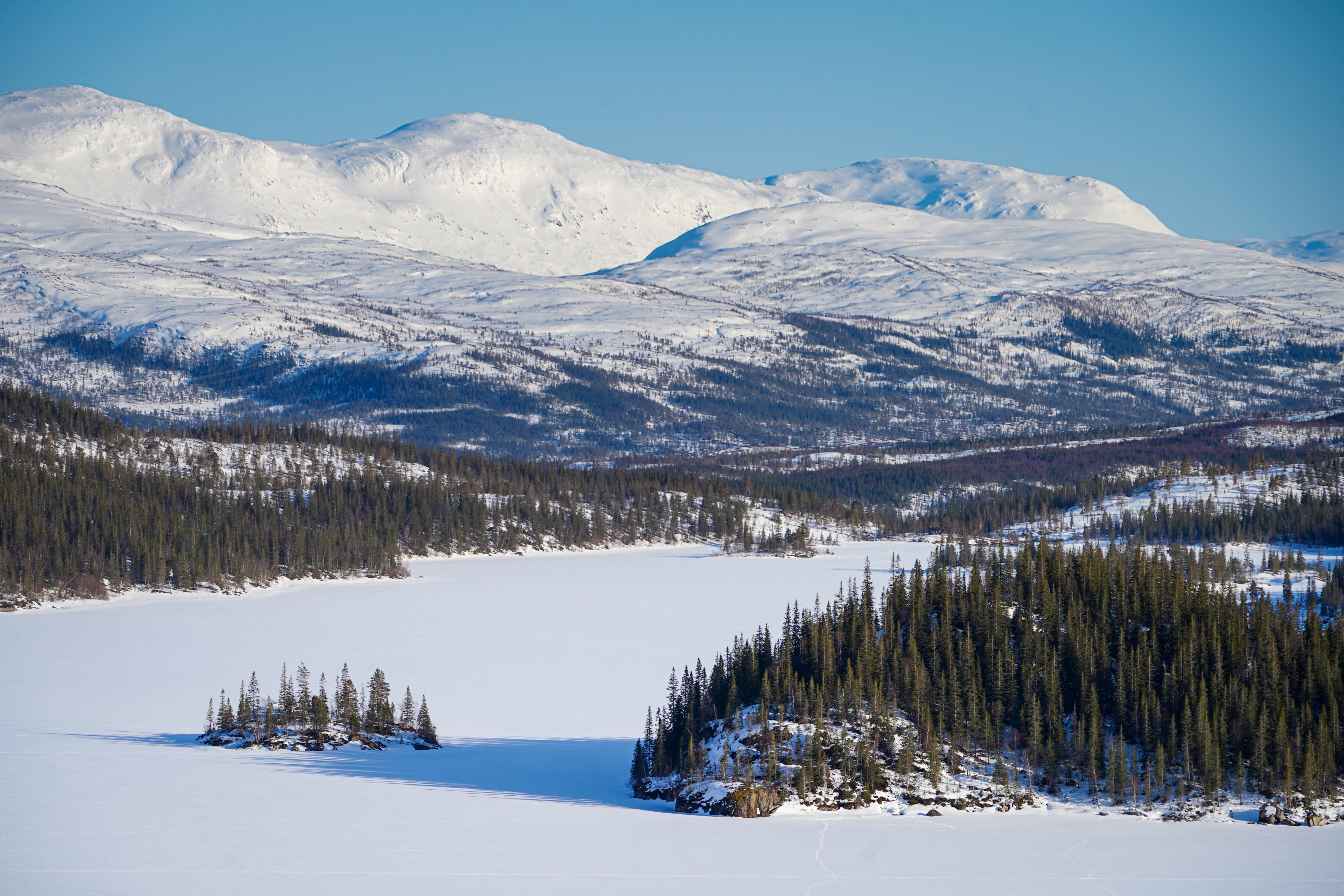 Gåsvasshytta – ved Gåsvatnet i Grane