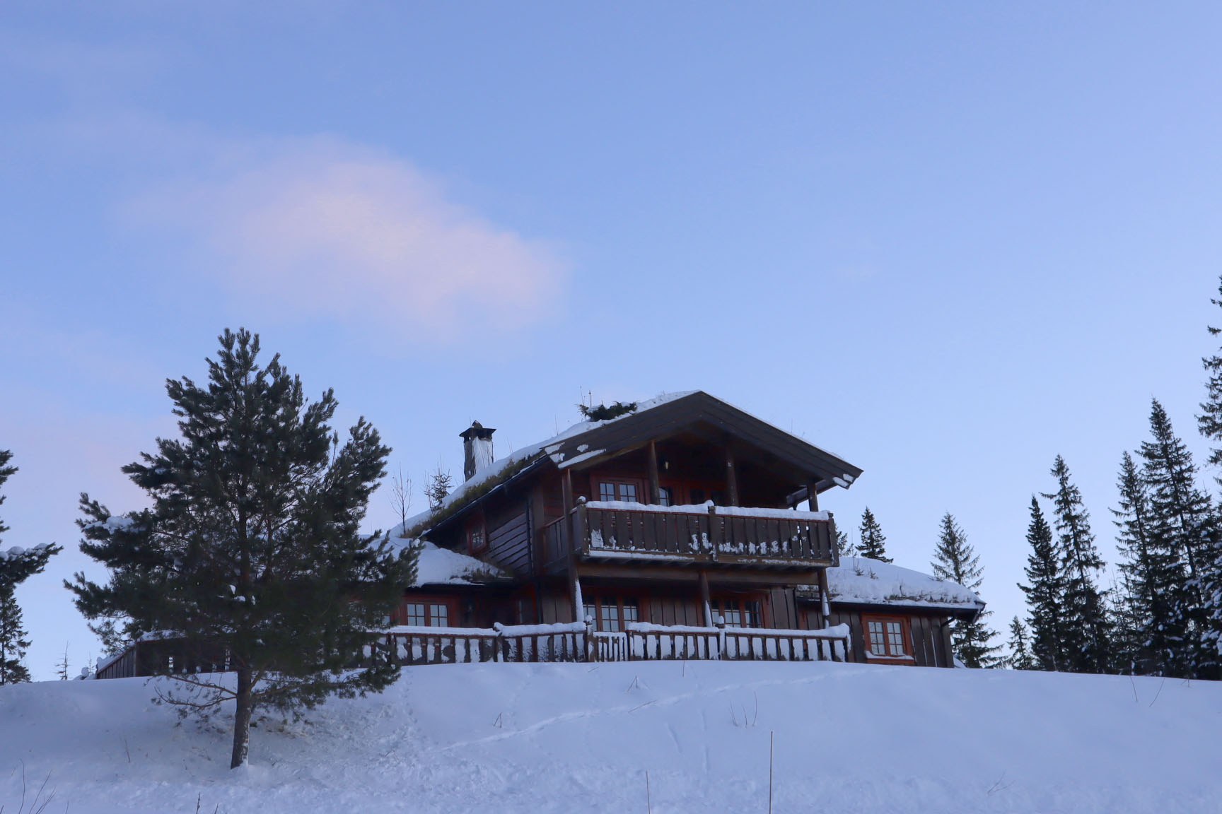 Torpberget i vinterdrakt