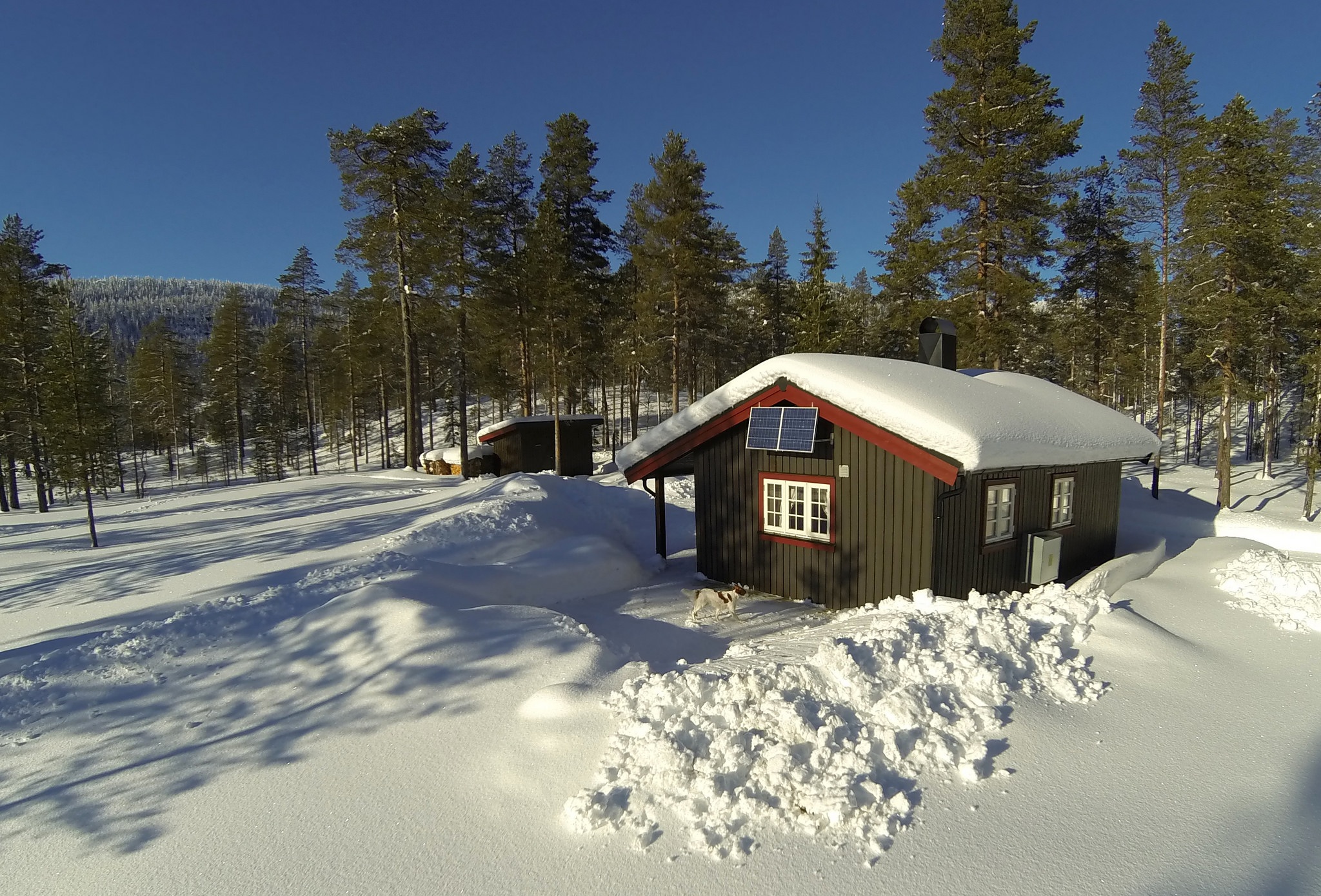 Valsjoehytta vinter Torkel Skoglund